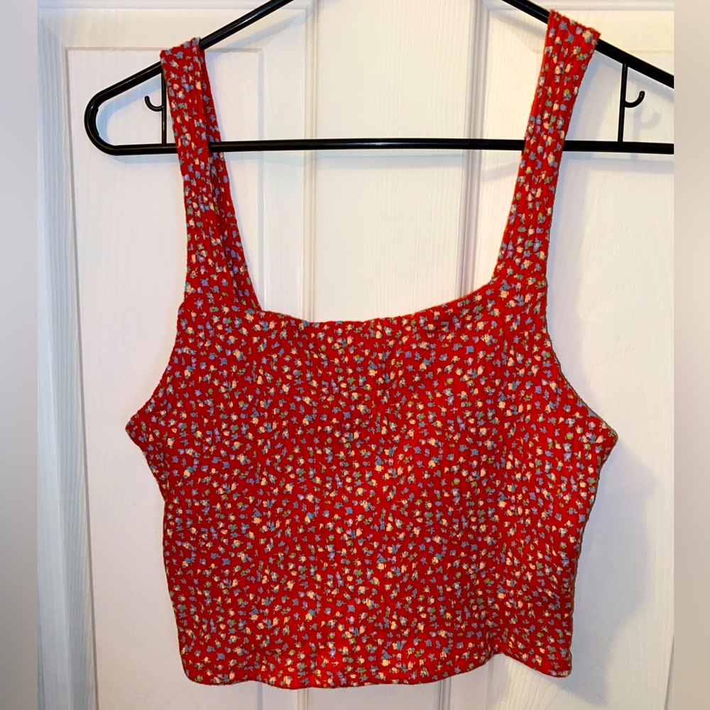 American Eagle Crop Top